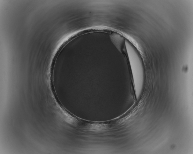 X0000099511327200805291141