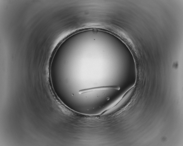 X0000099511328200805291141