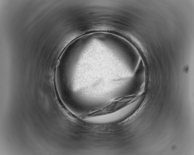 X0000099511329200805291141