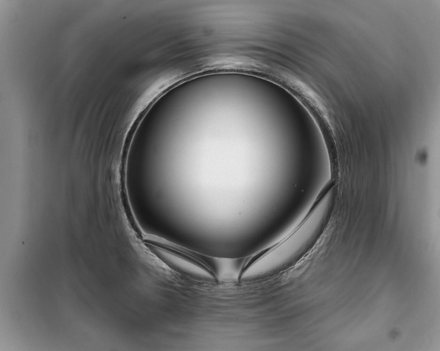 X0000099511330200805291141