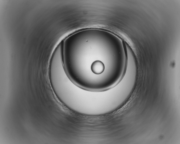 X0000099511332200805291141