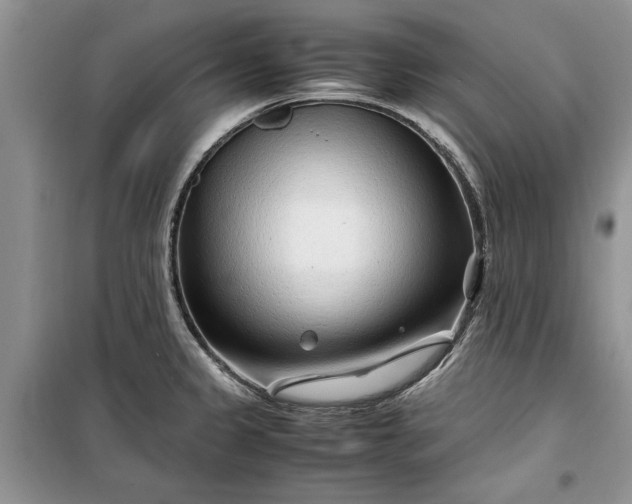 X0000099511333200805291141