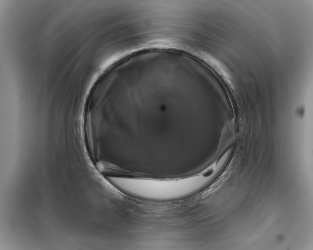 X0000099511334200805291141