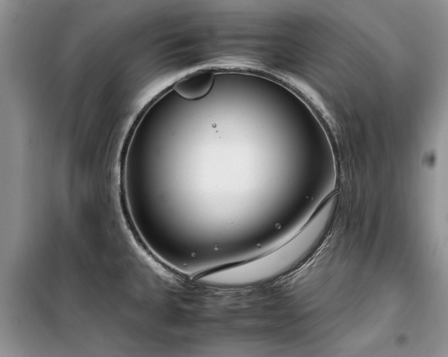 X0000099511335200805291141