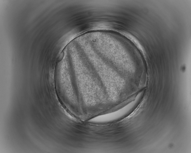 X0000099511337200805291141