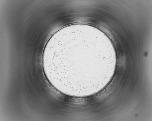 X0000099511338200805291141