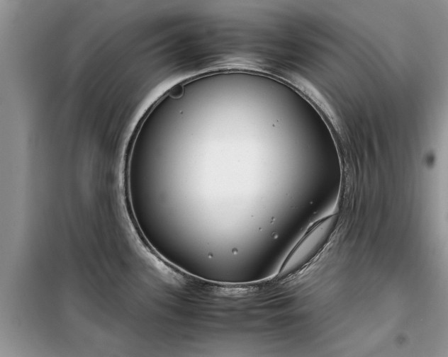 X0000099511339200805291141