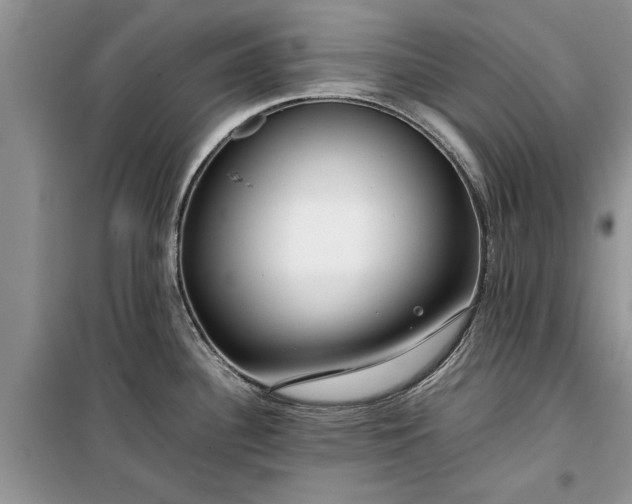 X0000099511340200805291141