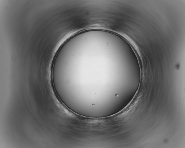 X0000099511341200805291141