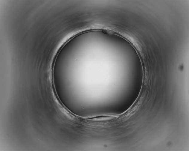 X0000099511342200805291141