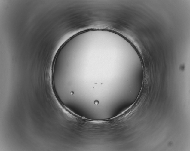 X0000099511343200805291141