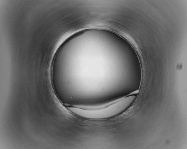 X0000099511344200805291141