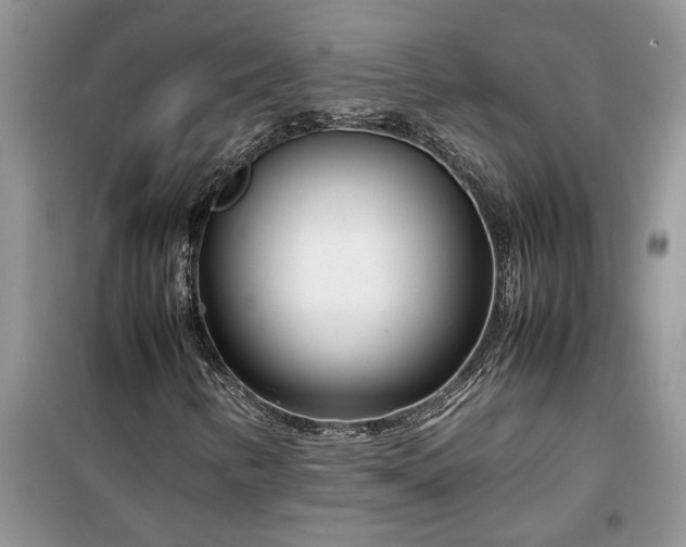 X0000099511346200805291140