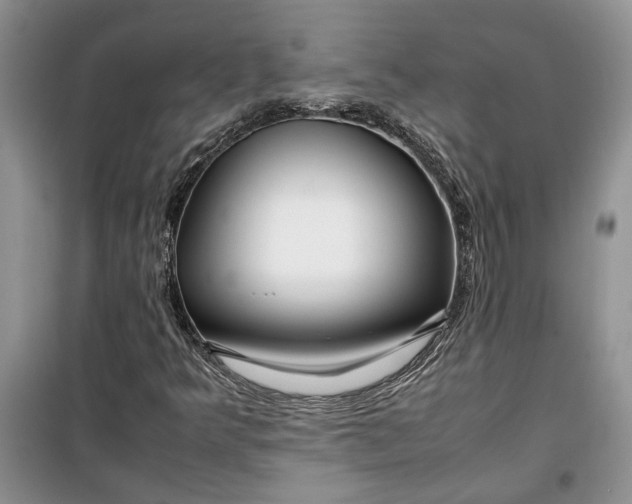 X0000099511349200805291140