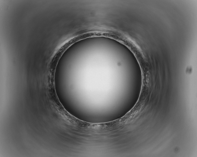 X0000099511352200805291140