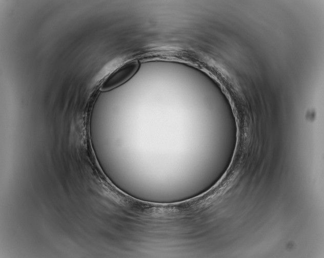 X0000099511354200805291140