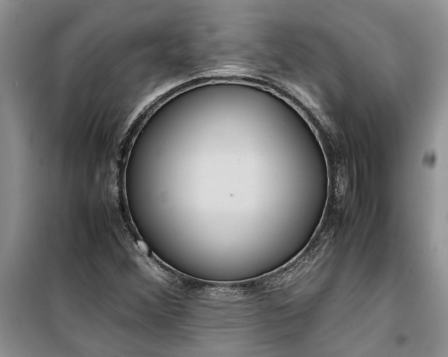 X0000099511356200805291140