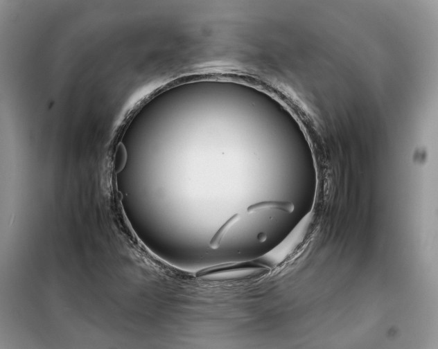 X0000099511358200805291140