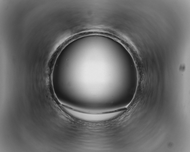 X0000099511360200805291140