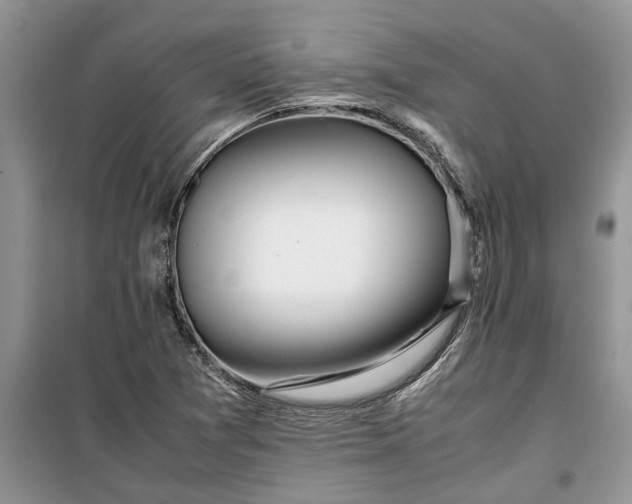 X0000099511361200805291140