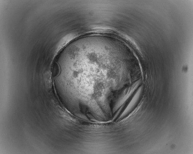 X0000099511362200805291140