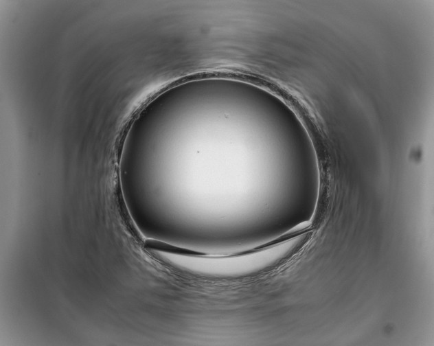 X0000099511363200805291140