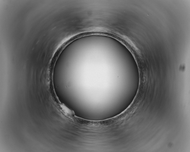 X0000099511364200805291140