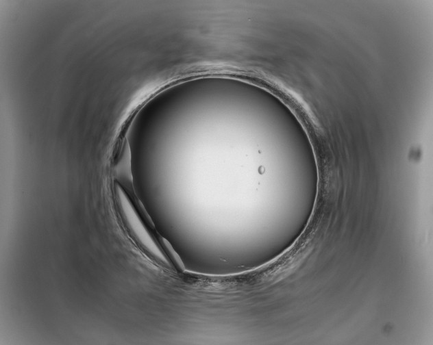 X0000099511365200805291140