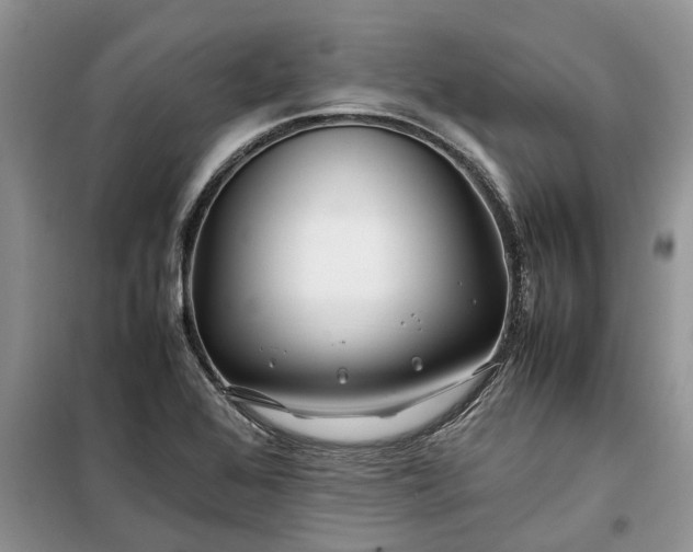 X0000099511368200805291140