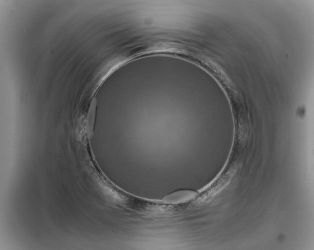 X0000099511369200805291140