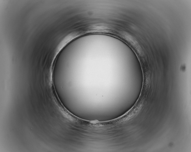 X0000099511370200805291140