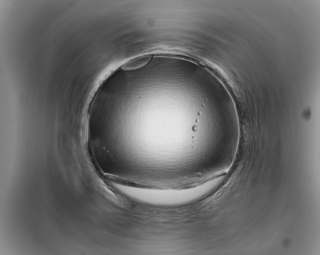 X0000099511371200805291140