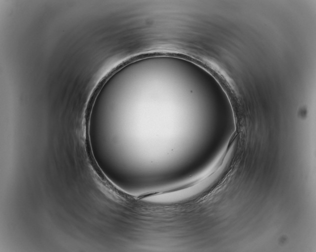 X0000099511372200805291140