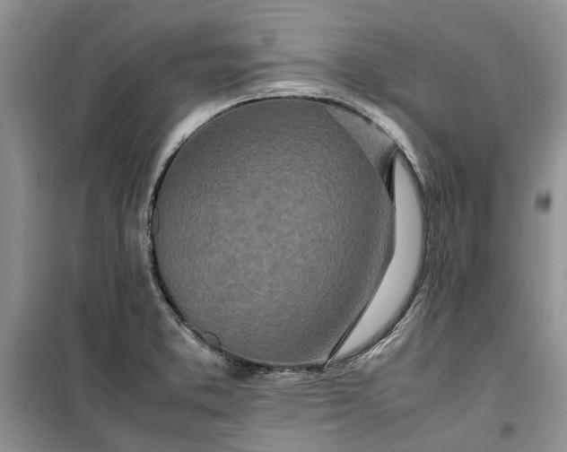 X0000099511373200805291140
