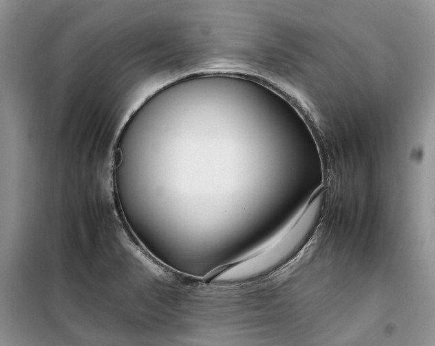 X0000099511374200805291140