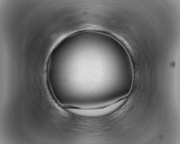 X0000099511375200805291140