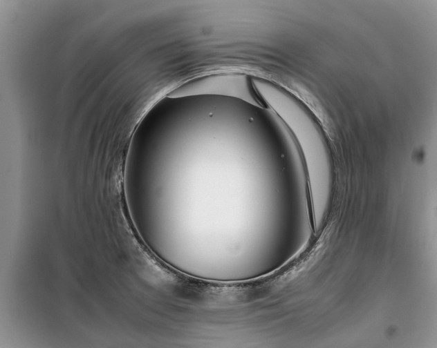 X0000099511377200805291140