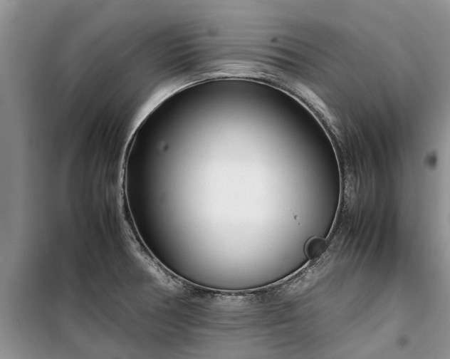 X0000099511378200805291140