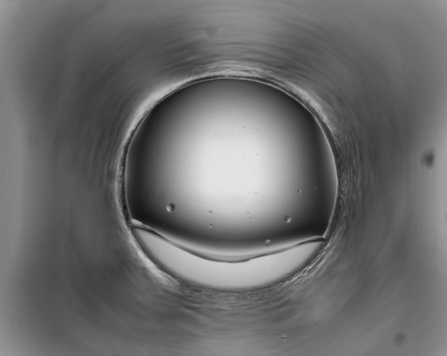 X0000099511379200805291140