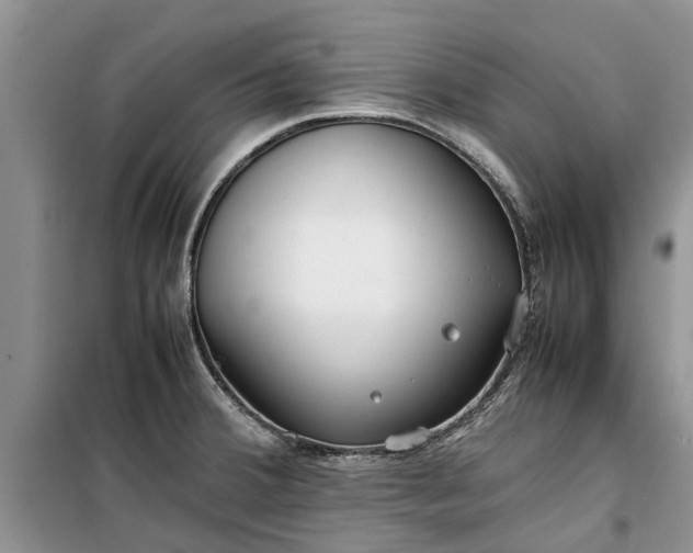 X0000099511380200805291140