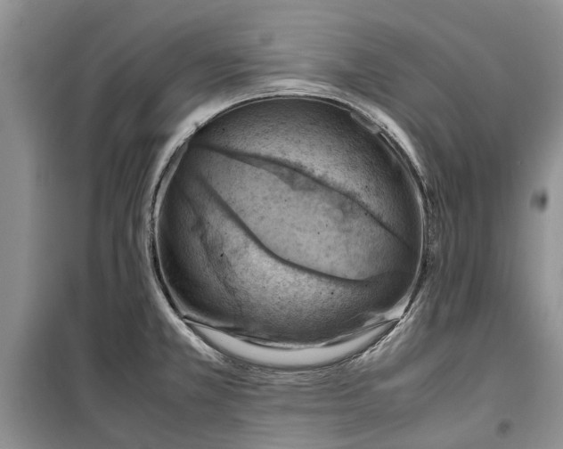 X0000099511381200805291140