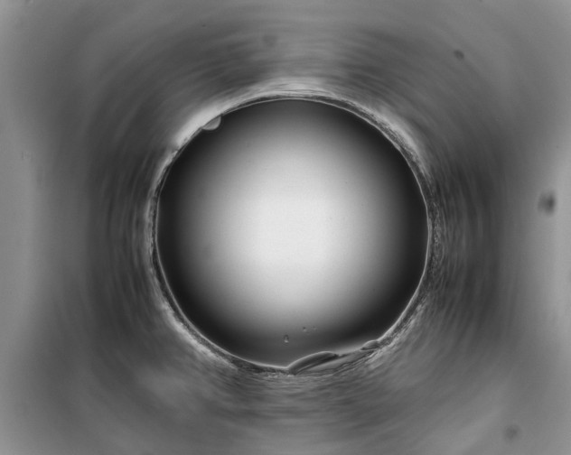 X0000099511382200805291140