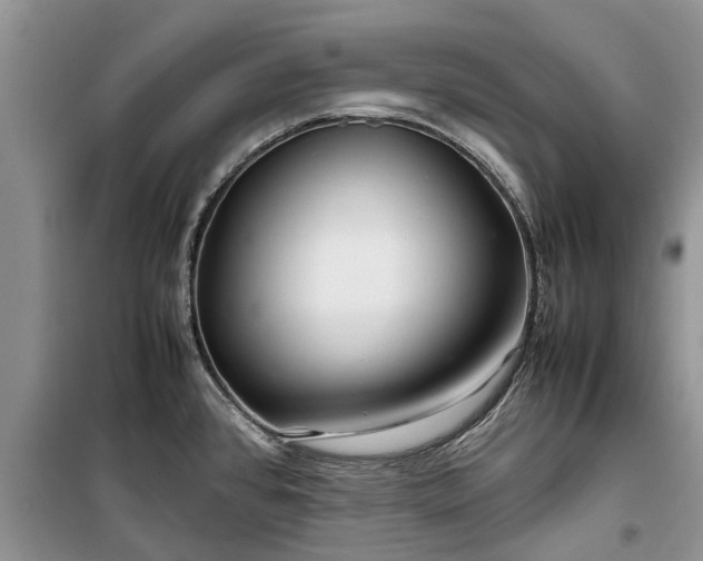 X0000099511384200805291140