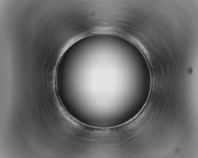 X0000099511386200805291140