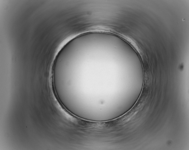 X0000099511387200805291140
