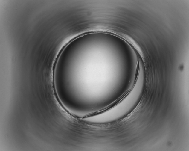 X0000099511388200805291140