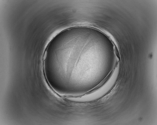 X0000099511389200805291140