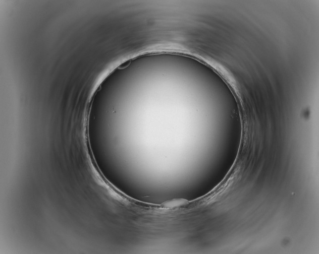 X0000099511390200805291140