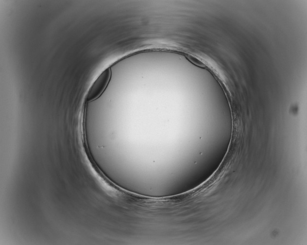 X0000099511391200805291140