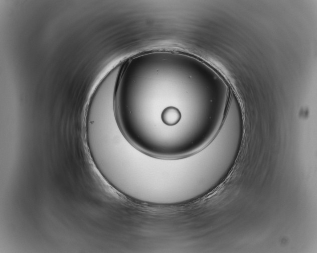 X0000099511392200805291140